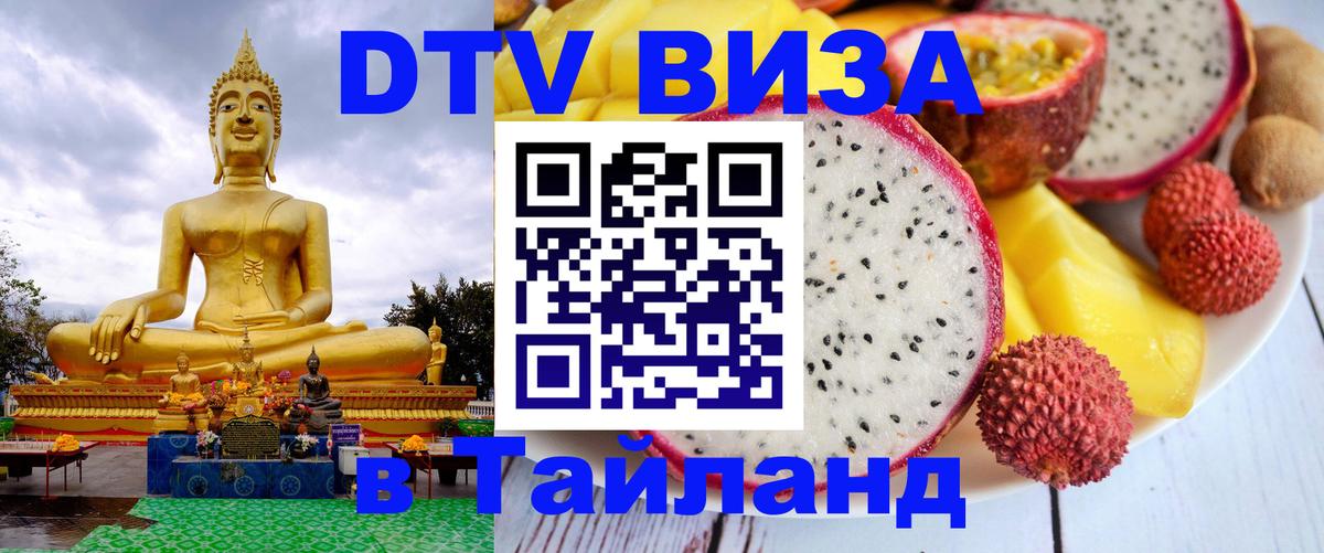 DTV (ДТВ) visa Таиланд Амстердам 